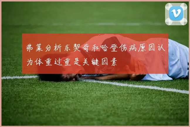 弗莱分析东契奇和哈登伤病原因认为体重过重是关键因素