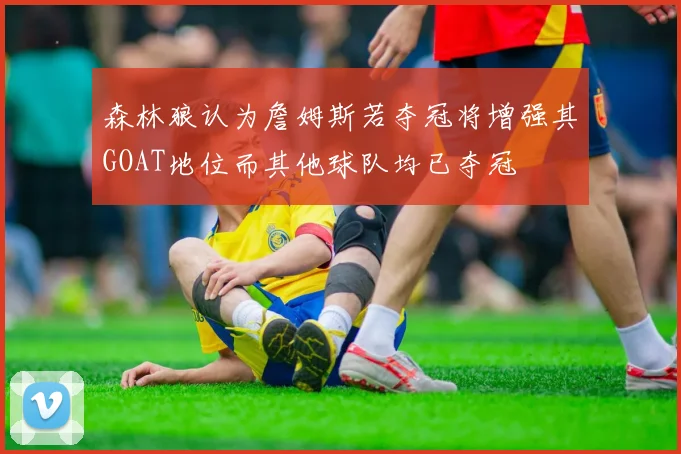 森林狼认为詹姆斯若夺冠将增强其GOAT地位而其他球队均已夺冠